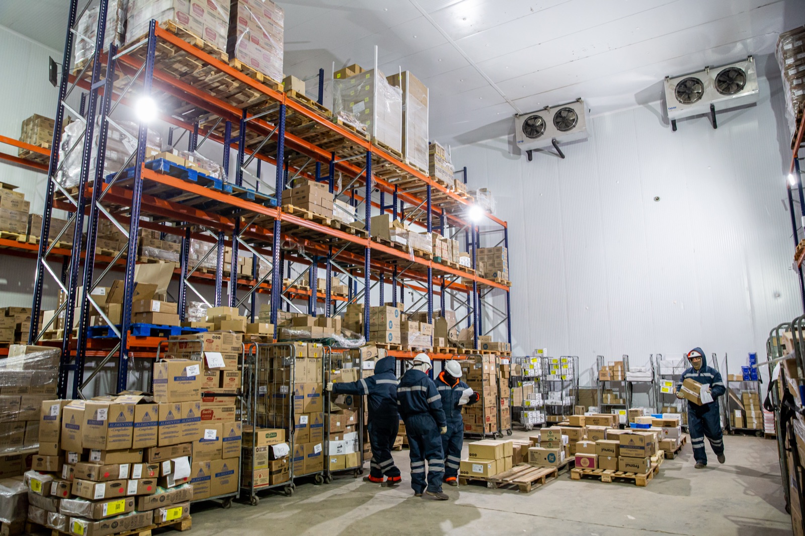 Operarios trabajando en cámara de frío
